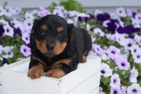 processed/ecc72c71-4acf-406f-b388-55eb0b2aa64e/facility/f3c469a9-6e20-4aa6-881d-e8c00fc39fcc