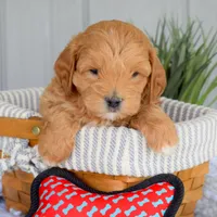 processed/ecc72c71-4acf-406f-b388-55eb0b2aa64e/facility/f4d5aa86-8828-4e9c-866b-84faabf18747