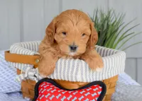 processed/ecc72c71-4acf-406f-b388-55eb0b2aa64e/facility/f4d5aa86-8828-4e9c-866b-84faabf18747