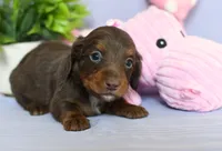 processed/ecc72c71-4acf-406f-b388-55eb0b2aa64e/listing/fd54d712-536a-40fd-8e9b-2fb57d036527/5d9b522e-fb7d-46d3-9525-ab5e7108a675