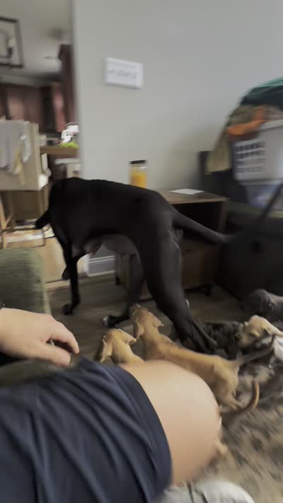 Facility video