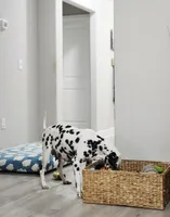 processed/ecd9f951-ca68-486e-88fd-1e18b7ae7c3d/listing/34b08e89-32a5-46aa-b4ca-51db6dca434f/6b08d60a-6e95-4e04-aae6-427ebd5df11d