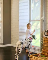 processed/ecd9f951-ca68-486e-88fd-1e18b7ae7c3d/listing/34b08e89-32a5-46aa-b4ca-51db6dca434f/831ccf1e-28f9-46be-8b50-b0c2e3bed75b