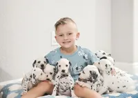 processed/ecd9f951-ca68-486e-88fd-1e18b7ae7c3d/listing/34b08e89-32a5-46aa-b4ca-51db6dca434f/bf942d4a-1bdb-4e2e-9542-5f3cf5f27832