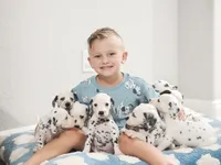 processed/ecd9f951-ca68-486e-88fd-1e18b7ae7c3d/listing/6f945ddc-5458-4bc1-8bbe-d270b310ce4e/606600d7-9b4e-4680-8ce9-06ff3b838a0d