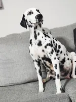 processed/ecd9f951-ca68-486e-88fd-1e18b7ae7c3d/listing/6f945ddc-5458-4bc1-8bbe-d270b310ce4e/732f9118-a4d5-44c0-b120-04b04eaaed7c