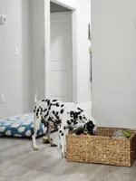 processed/ecd9f951-ca68-486e-88fd-1e18b7ae7c3d/listing/6f945ddc-5458-4bc1-8bbe-d270b310ce4e/9789e21c-ffb4-4e1b-bae7-0c4b02f61def