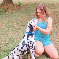 Akc Dalmatian READY EASTER, a female Dalmatian for sale in Pace, FL – Photo 7 of 10