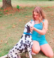 Akc Dalmatian puppy's Ready EASTER, a male Dalmatian for sale in Pace, FL – Photo 9 of 10