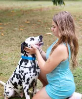 processed/ecd9f951-ca68-486e-88fd-1e18b7ae7c3d/listing/badadcd8-cf5e-44e7-931c-419974048978/344e80ac-8b4f-4342-a169-22122efae008