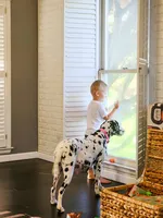 processed/ecd9f951-ca68-486e-88fd-1e18b7ae7c3d/listing/badadcd8-cf5e-44e7-931c-419974048978/533d3dda-325b-4620-80a7-7f8c4adafce8