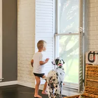 Akc Dalmatian ready EASTER, a female Dalmatian for sale in Pace, FL – Photo 6 of 10