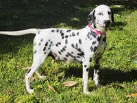 processed/ecd9f951-ca68-486e-88fd-1e18b7ae7c3d/listing/badadcd8-cf5e-44e7-931c-419974048978/cbfec1b8-cfe1-4c5c-aa33-935c6d685990