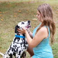 AkC Dalmatian ready EASTER, a female Dalmatian for sale in Pace, FL – Photo 10 of 10