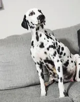 processed/ecd9f951-ca68-486e-88fd-1e18b7ae7c3d/listing/f8c84d26-7530-4667-b12a-be98d23c4532/0f0d6dc1-3ae2-401f-a342-feb07de9fa44