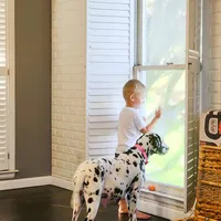 AkC Dalmatian ready EASTER, a female Dalmatian for sale in Pace, FL – Photo 4 of 10