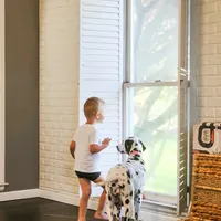 AkC Dalmatian ready EASTER, a female Dalmatian for sale in Pace, FL – Photo 7 of 10