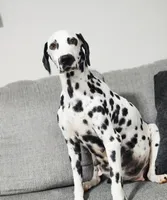 processed/ecd9f951-ca68-486e-88fd-1e18b7ae7c3d/listing/f8c84d26-7530-4667-b12a-be98d23c4532/a40a92d7-77a9-475d-9f39-e97268046da8