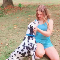 AkC Dalmatian ready EASTER, a female Dalmatian for sale in Pace, FL – Photo 9 of 10