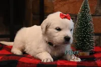 processed/ecdee306-5199-4a8e-88bf-56bdc765c10b/listing/6623a6d1-af86-449f-8aa0-21cfa7573d54/27266713-2861-4f8c-a8ca-be9be75d8baf