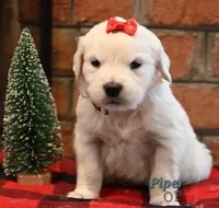 processed/ecdee306-5199-4a8e-88bf-56bdc765c10b/listing/6623a6d1-af86-449f-8aa0-21cfa7573d54/8e5bdefe-f570-473f-9c3e-7144aceed301