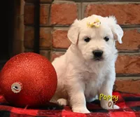 processed/ecdee306-5199-4a8e-88bf-56bdc765c10b/listing/99dc5f19-5961-4595-9764-3255ddea3b3d/69ba9ad4-d40d-41e4-a17d-66f4d98b9a0f