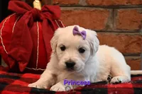 processed/ecdee306-5199-4a8e-88bf-56bdc765c10b/listing/a0c5b97e-b7de-4639-a7d6-ec7db2322f38/081cdb98-3f99-4f98-89f6-1f1f2e9dae47