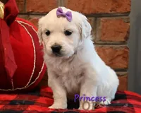 processed/ecdee306-5199-4a8e-88bf-56bdc765c10b/listing/a0c5b97e-b7de-4639-a7d6-ec7db2322f38/79df3a89-f0d5-4ae1-9b35-790d064311bd