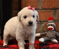 processed/ecdee306-5199-4a8e-88bf-56bdc765c10b/listing/ae53126e-1afc-4534-986a-4007774a74d3/0a2627fe-5692-4c1e-8a11-148fdf7586c1