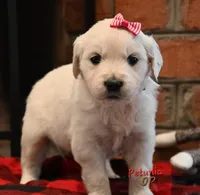 processed/ecdee306-5199-4a8e-88bf-56bdc765c10b/listing/ae53126e-1afc-4534-986a-4007774a74d3/3dbc524f-607f-43cc-a76e-75c9c67654e8