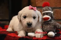 processed/ecdee306-5199-4a8e-88bf-56bdc765c10b/listing/ae53126e-1afc-4534-986a-4007774a74d3/da2ba5bc-ddcb-4588-9652-73de9e2cf5a7