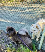 processed/ece82f74-8e70-4e3f-b6d3-20948e7eb991/facility/0197e779-a590-4cc1-bf21-8afaef796274