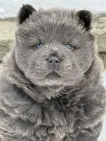 processed/ece82f74-8e70-4e3f-b6d3-20948e7eb991/facility/134ebd1b-90fa-4623-8bc7-252638efe690