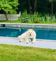 processed/ece82f74-8e70-4e3f-b6d3-20948e7eb991/facility/53d5b679-7224-4cc5-a1e0-e5b866db1c82