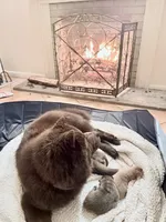 processed/ece82f74-8e70-4e3f-b6d3-20948e7eb991/facility/5819c443-d82f-4ba3-966a-86a32e9d4a9f