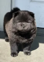 processed/ece82f74-8e70-4e3f-b6d3-20948e7eb991/facility/5bcf31ca-fe06-4107-b29a-776e1eb040a1