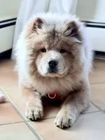 processed/ece82f74-8e70-4e3f-b6d3-20948e7eb991/facility/8811319a-6ce9-4395-898f-a88275e696cc