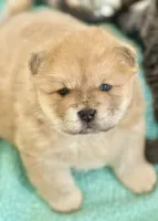 processed/ece82f74-8e70-4e3f-b6d3-20948e7eb991/facility/bf3495c8-94d1-44e3-a26b-075497398ea0