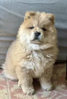 processed/ece82f74-8e70-4e3f-b6d3-20948e7eb991/listing/002a7f46-a42d-4d93-b7f2-87bf728fe3b6/21a2ffaf-8b27-4a23-acc0-d0d1ae1636a6