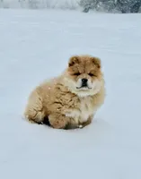 processed/ece82f74-8e70-4e3f-b6d3-20948e7eb991/listing/002a7f46-a42d-4d93-b7f2-87bf728fe3b6/36d02881-a532-4ecd-936f-f979514a38d3