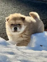 processed/ece82f74-8e70-4e3f-b6d3-20948e7eb991/listing/002a7f46-a42d-4d93-b7f2-87bf728fe3b6/6eff6948-d4ca-4eab-a643-5dc476c48d02