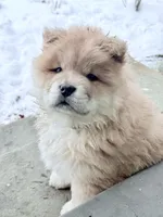 processed/ece82f74-8e70-4e3f-b6d3-20948e7eb991/listing/002a7f46-a42d-4d93-b7f2-87bf728fe3b6/819e7482-a111-4302-b453-bd835ca03442