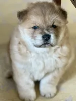 processed/ece82f74-8e70-4e3f-b6d3-20948e7eb991/listing/002a7f46-a42d-4d93-b7f2-87bf728fe3b6/86532c5a-29f3-4b62-bfc1-9ca67a9fbd60