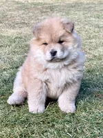 processed/ece82f74-8e70-4e3f-b6d3-20948e7eb991/listing/002a7f46-a42d-4d93-b7f2-87bf728fe3b6/aabb7d18-0f50-4507-b21d-c2bdf285e185