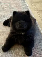 processed/ece82f74-8e70-4e3f-b6d3-20948e7eb991/listing/8aa1ace1-6439-4161-ab27-cf8b8e8fb913/36ba00d2-9c70-4677-9ee1-b91eee0a950d