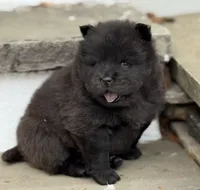 processed/ece82f74-8e70-4e3f-b6d3-20948e7eb991/listing/8aa1ace1-6439-4161-ab27-cf8b8e8fb913/79f07920-d5c8-4ea3-b370-fb7d4aff6c78