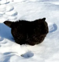 processed/ece82f74-8e70-4e3f-b6d3-20948e7eb991/listing/8aa1ace1-6439-4161-ab27-cf8b8e8fb913/ab125278-f8d2-48d1-afcb-fc116eb721de