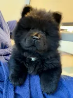 processed/ece82f74-8e70-4e3f-b6d3-20948e7eb991/listing/8aa1ace1-6439-4161-ab27-cf8b8e8fb913/f8c571df-9fab-43ab-b393-31b93647f050