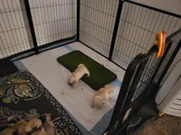 processed/ecefdc8a-d6ad-4aac-892c-bd1aa2cd44e6/facility/1827740d-0dc6-4763-b35d-c8b6d87bb3c1