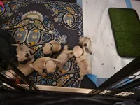 processed/ecefdc8a-d6ad-4aac-892c-bd1aa2cd44e6/facility/577308a2-033e-407e-8365-b20e3d1876a9